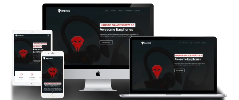 Madroid earphones eCommerce Website case study Pune