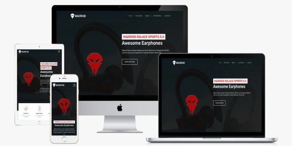Madroid earphones eCommerce Website case study Pune